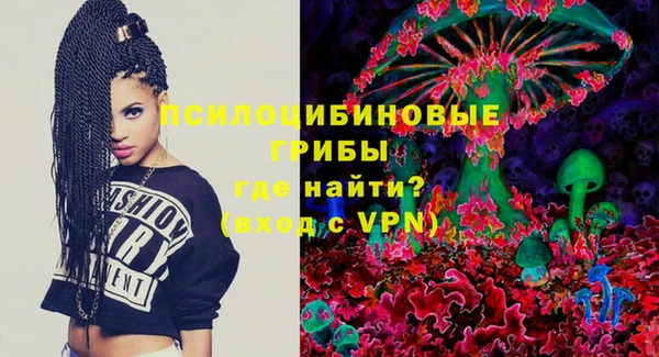 твердый Гусев