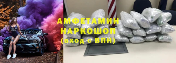 твердый Гусев