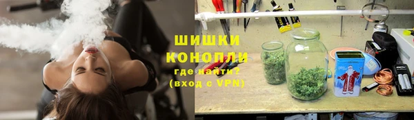 твердый Гусев