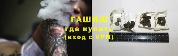 твердый Гусев