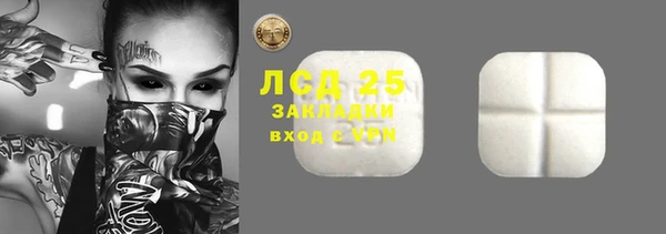 твердый Гусев