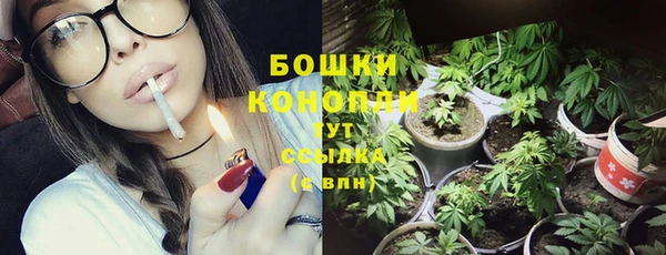 твердый Гусев