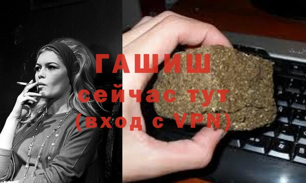 твердый Гусев