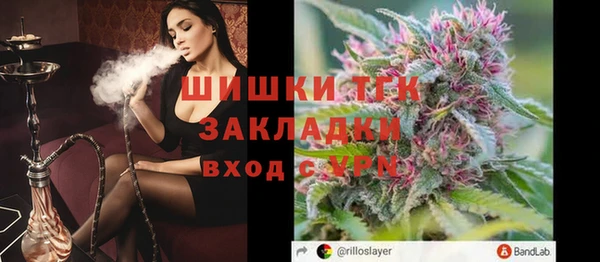 индика Дмитров