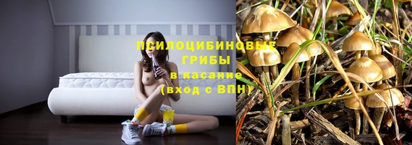 твердый Гусев